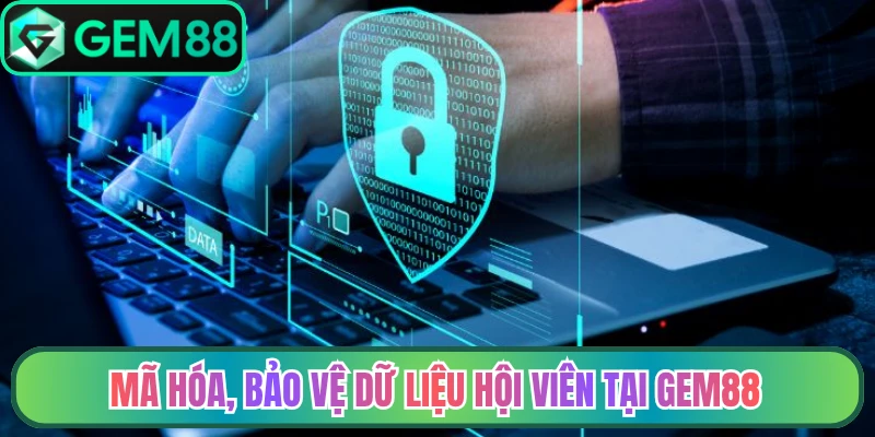 Mã hóa, bảo vệ dữ liệu hội viên tại Gem88