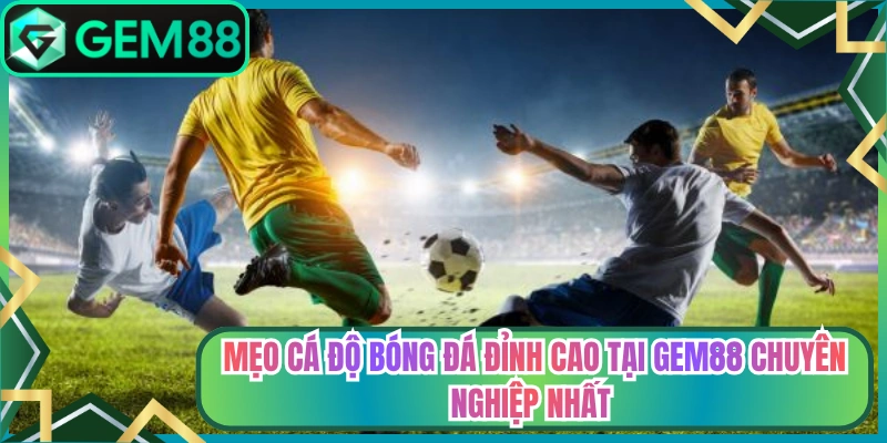 Mẹo cá độ bóng đá đỉnh cao tại Gem88 chuyên nghiệp nhất