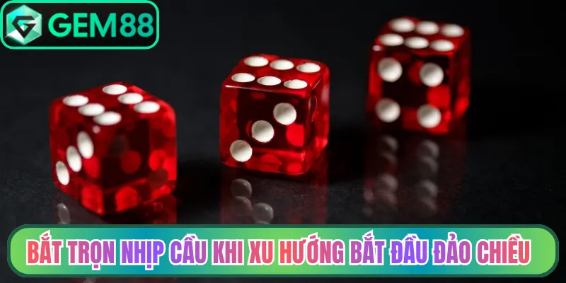 Bắt trọn nhịp cầu khi xu hướng bắt đầu đảo chiều
